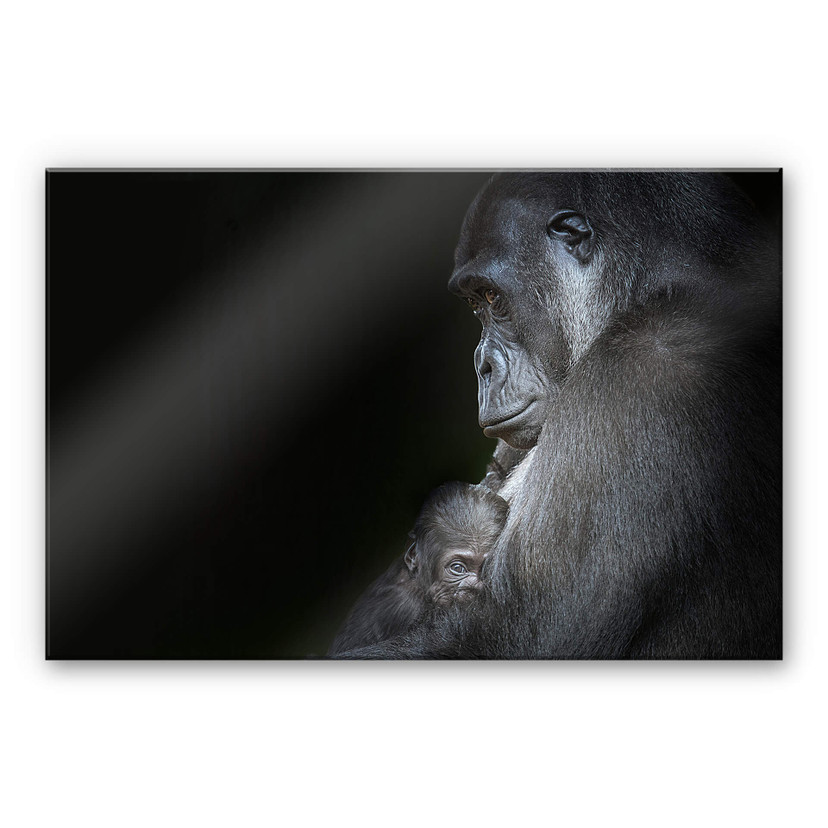 Acrylglasbild Cuadrado - Tenderness