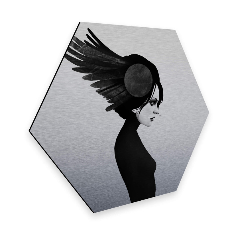 Hexagon Alu-Dibond Zilvereffect Ireland - Amy