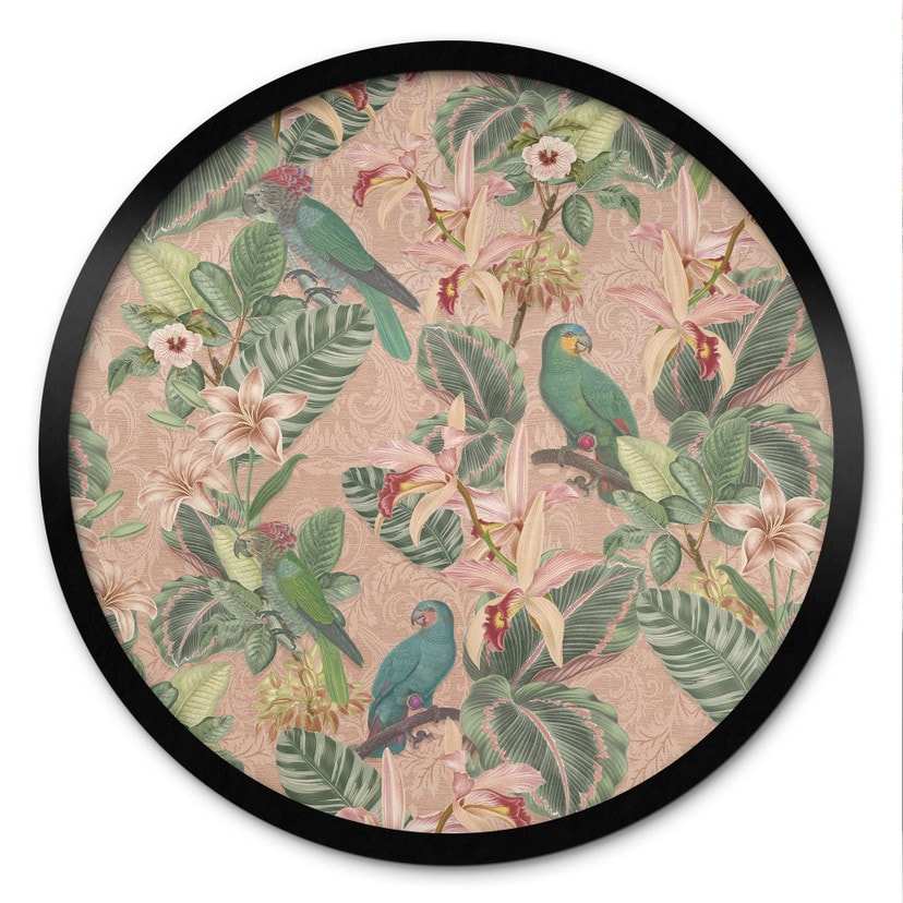 Poster Dschungel mit Papageien Rosa - Bloomery Decor - Rund