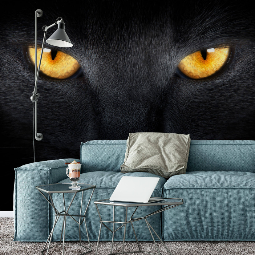 Papier peint photo Yeux de chat - 432x260 cm