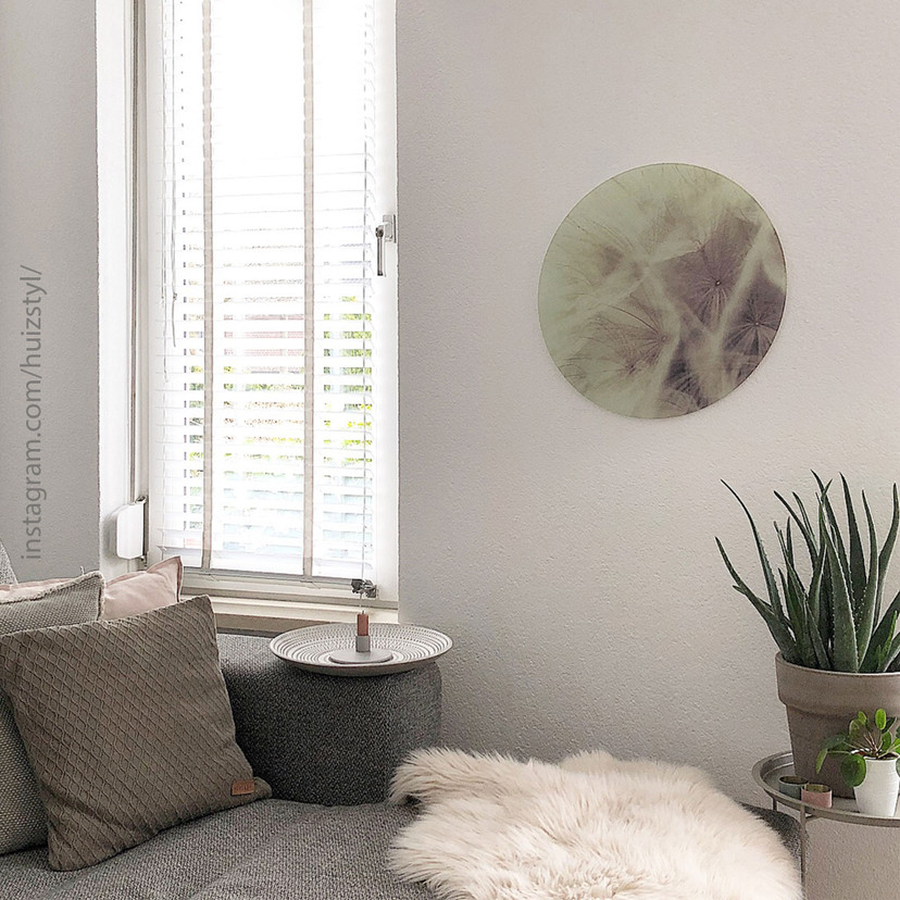 Tableau en verre - Pissenlit en gros plan - rond