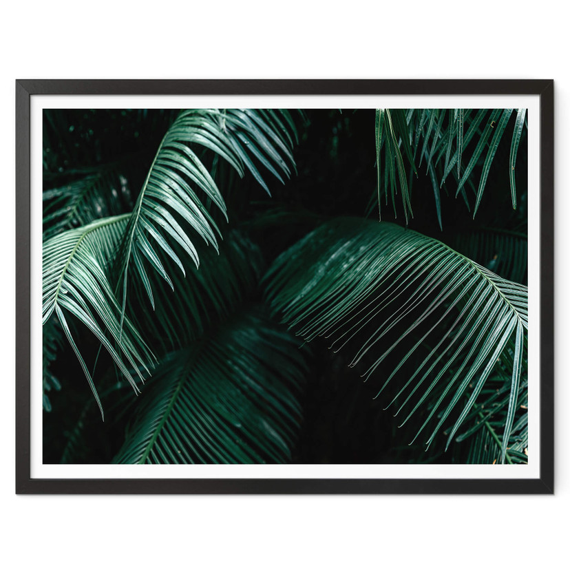 Poster Tropische Botanik