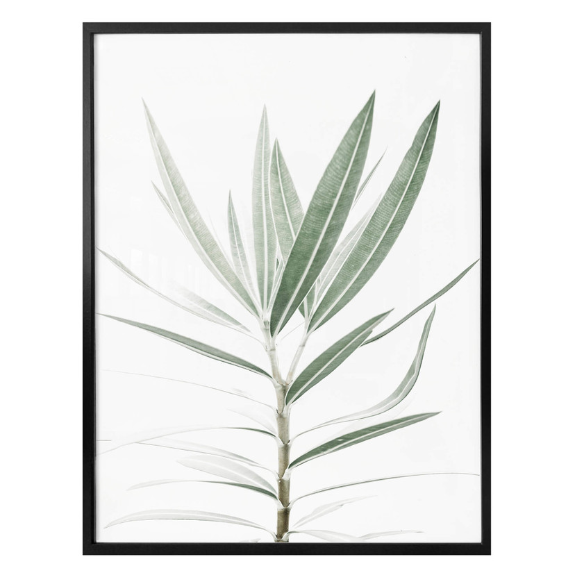 Plakat Sisi & Seb - Oleander