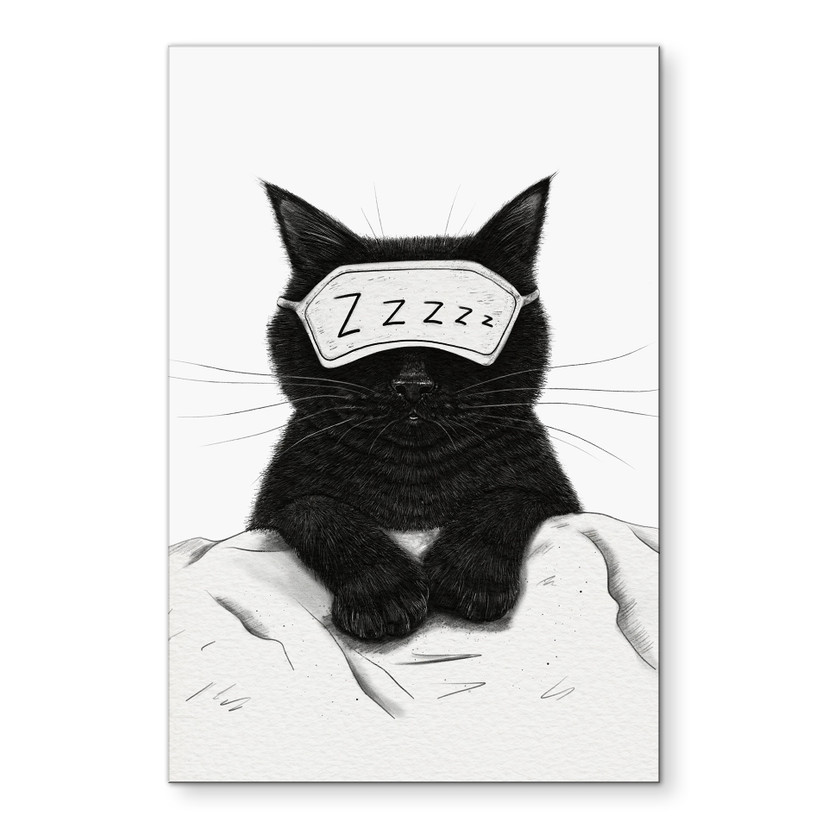 Tableaux Chat noir avec masque de nuit - Korenkova - Alu-Dibond