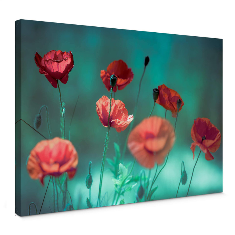 Tableau sur toile Delgado - Coquelicots aigues-marines