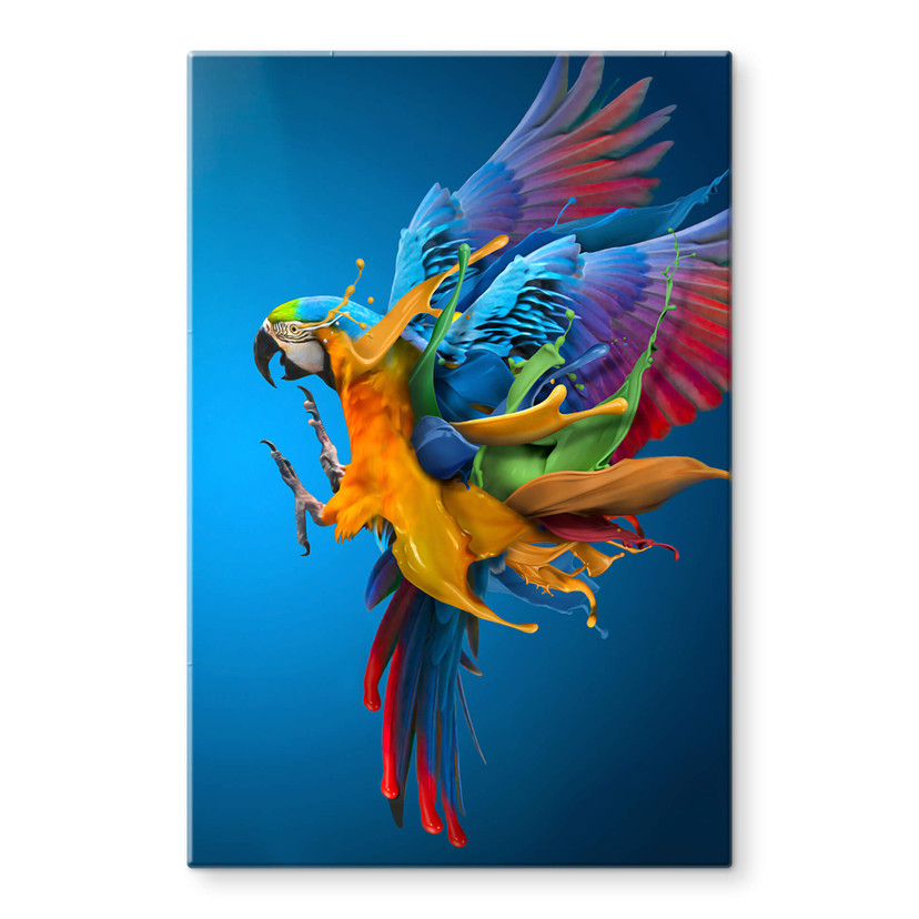 Tableau sur verre Almawash - Le perroquet et le jeu des couleurs