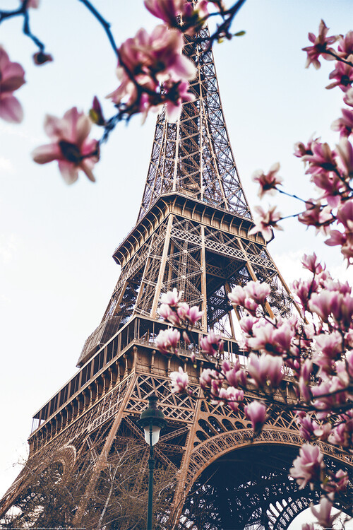 Poster Paris - Eiffelturm 61x91,5 cm