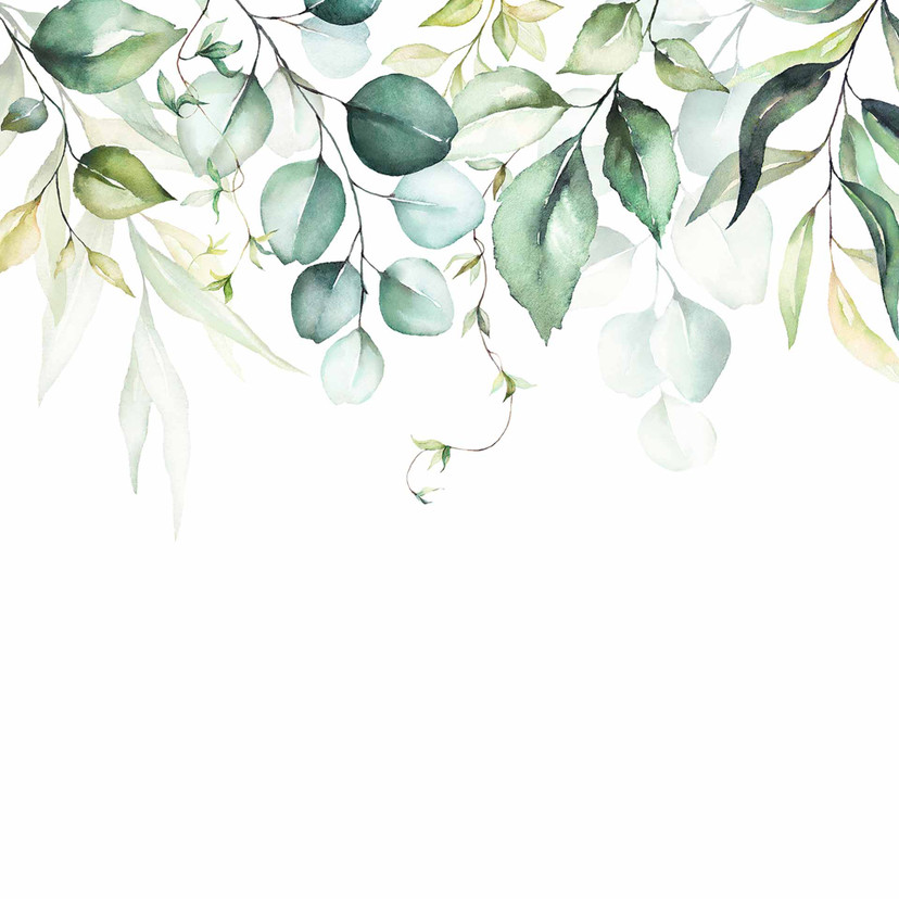 Papier peint végétal Watercolour Leaves en blanc vert - Papier peint intissé Designwalls 2 - 2.55 x