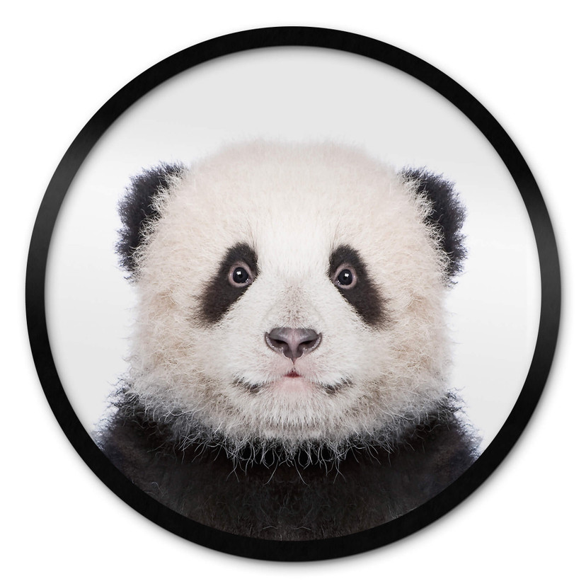 Plakat Sisi & Seb - Baby Panda - okrągły