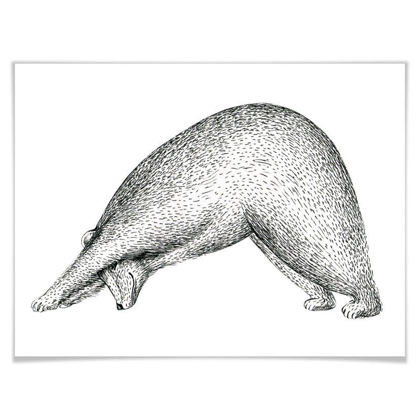 Plakat Kvilis - Yoga Bear 01