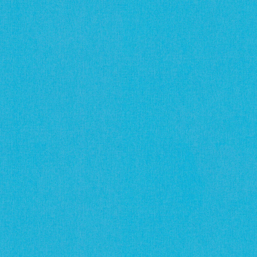 Architects Paper Floral Impression - Papier peint intissé uni, bleu