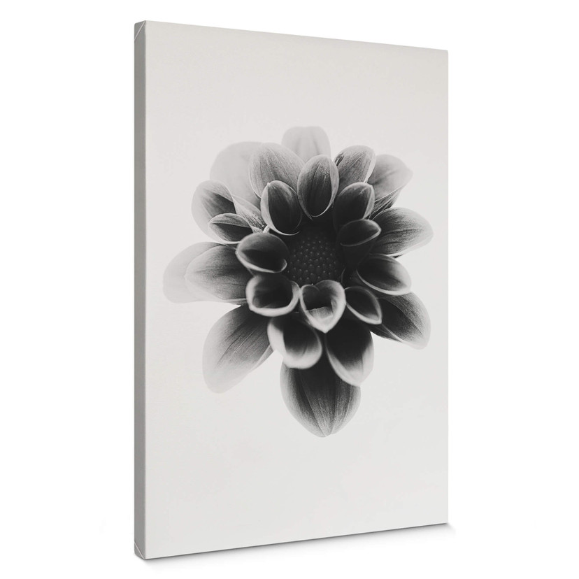 Obraz na płótnie Grønkjær - Dahlia