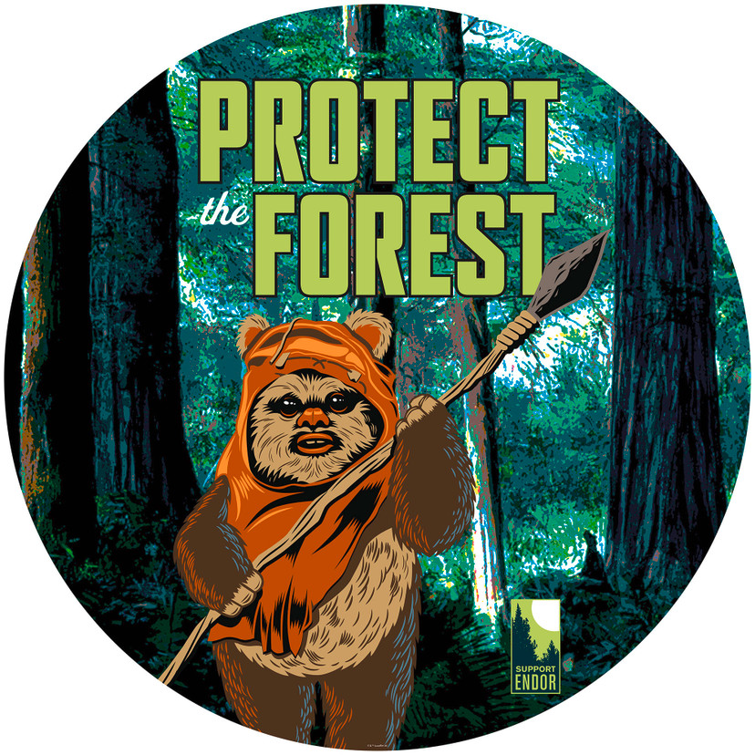 Selbstklebende Vlies Fototapete - Star Wars Protect the Forest - 125 x 125 cm