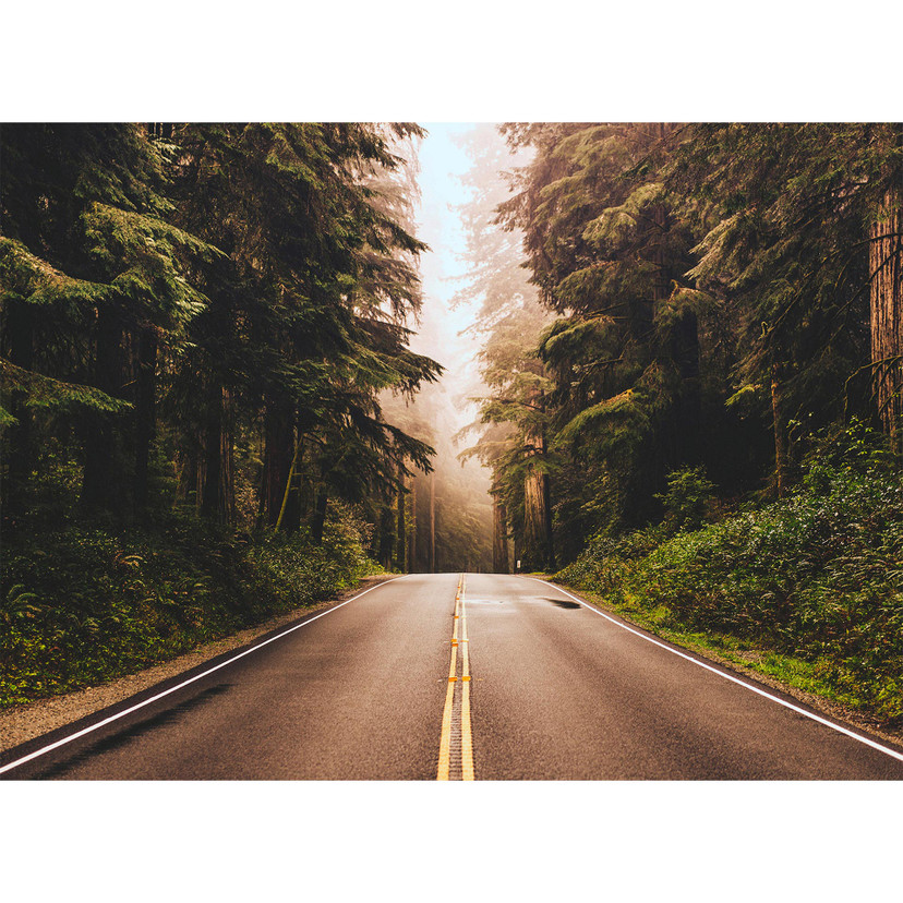 Brunt og grønt non-woven tapet Designwalls road trip natur landskab