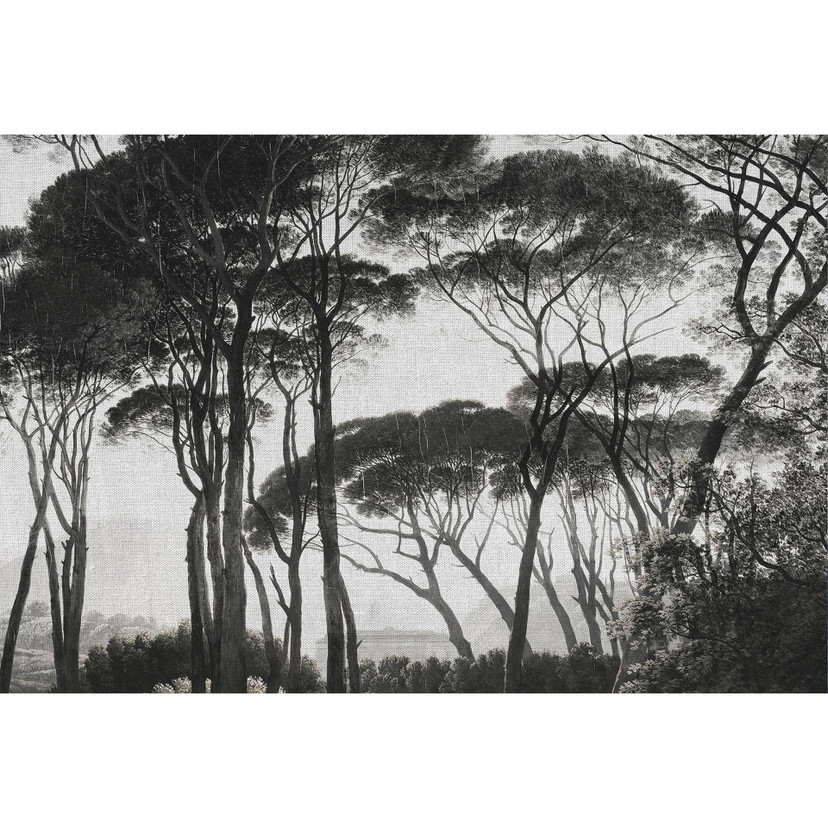 Architects Paper Papier peint photo Atelier 47 Treetops forêt