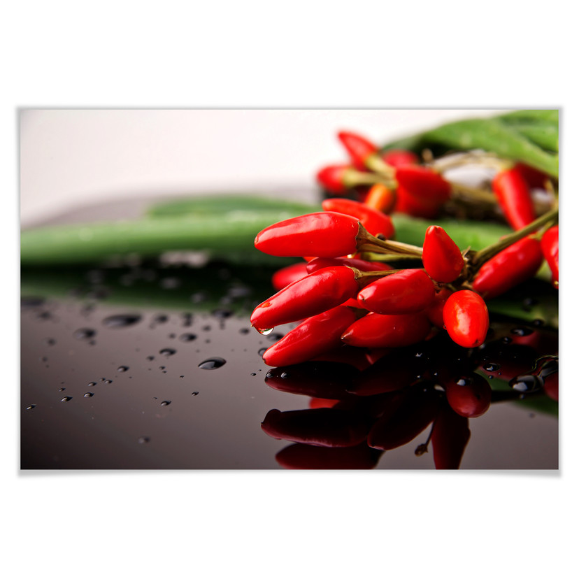 Poster - Piments exotiques