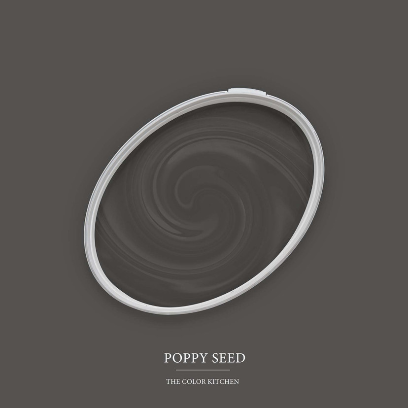 Pintura interior gris antracita mate I Poppy Seed | crear un ambiente elegante y moderno | LA COCINA