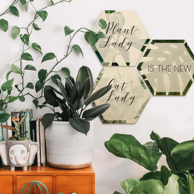 Hexagone - Bois placage de bouleau - Plantlady is the new Catlady (Set de 3)