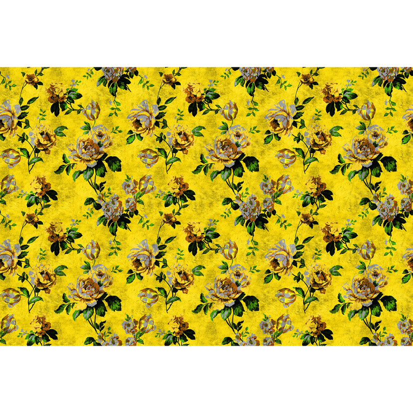 Livingwalls Fototapet Walls by Patel 2 wild roses 5