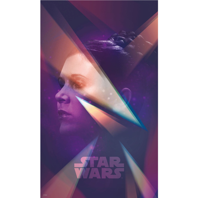 Tapetpanel i fleece -  Star Wars Female Leia