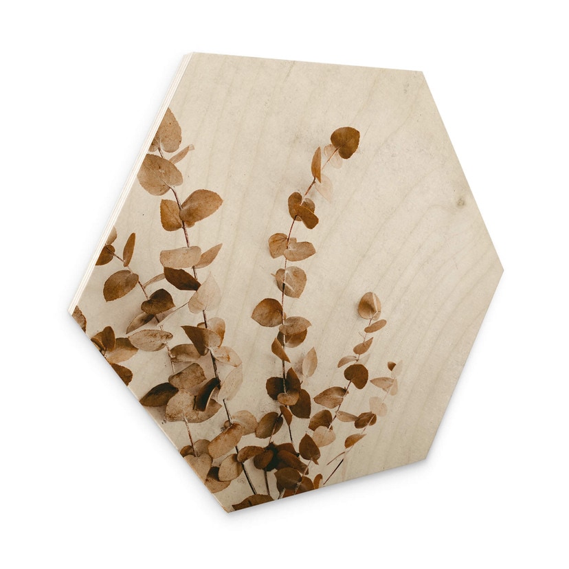 Hexagone - Bois Annie - Feuilles séchées