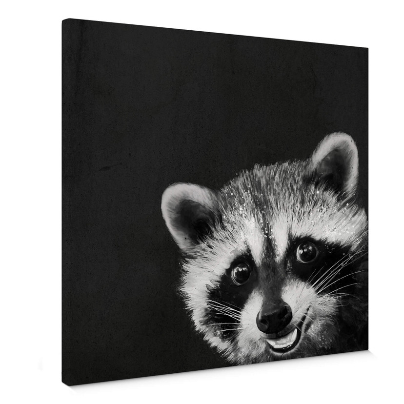 Obraz na płótnie Graves - Racoon