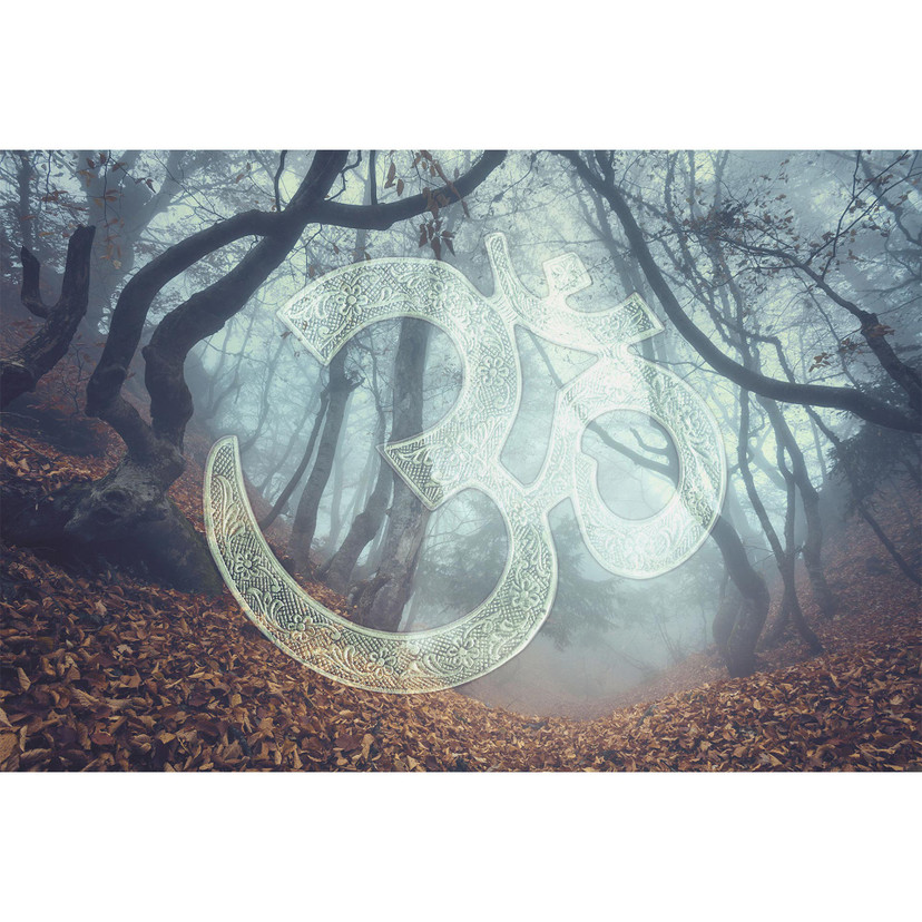 Architects Paper Papier peint photo Atelier 47 Symbol Forest