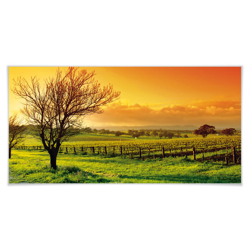Plakat Pejzaż z winem - Panorama