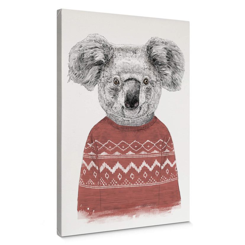 Obraz na płótnie Solti - Koala zimą