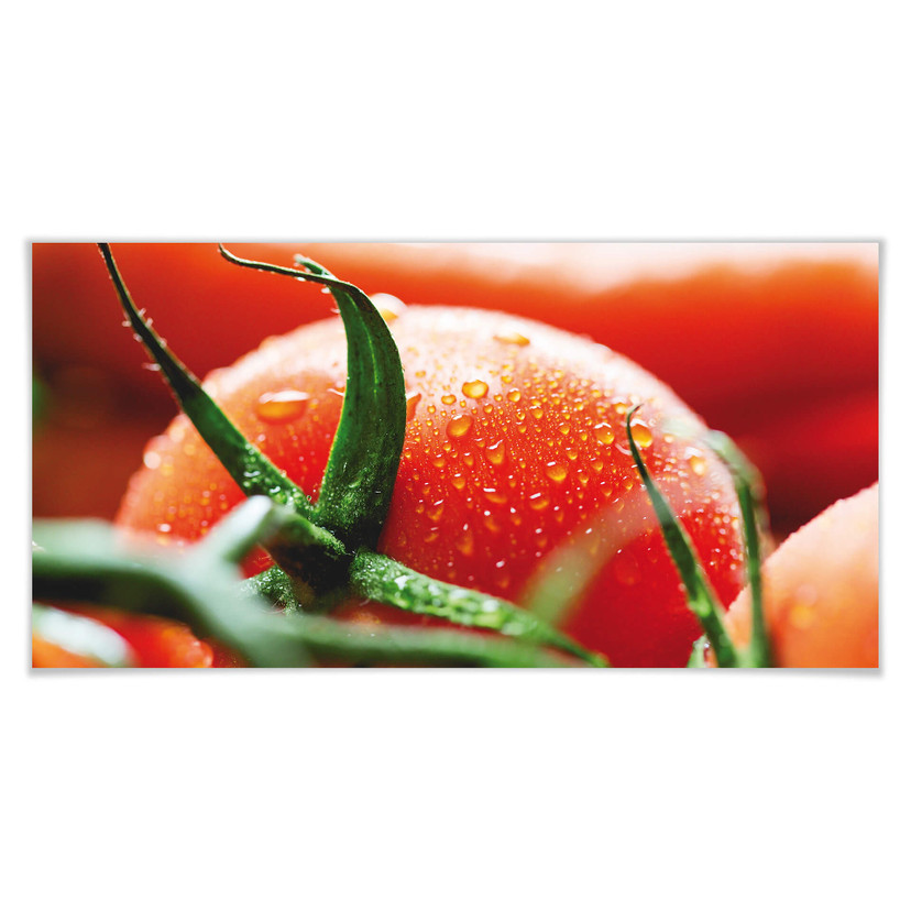 Poster - Fresh Tomato - Panorama