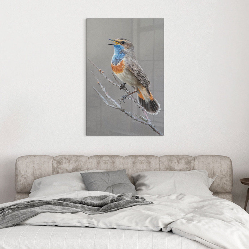 Glasschilderijen zingende blauwborst - van Duijn