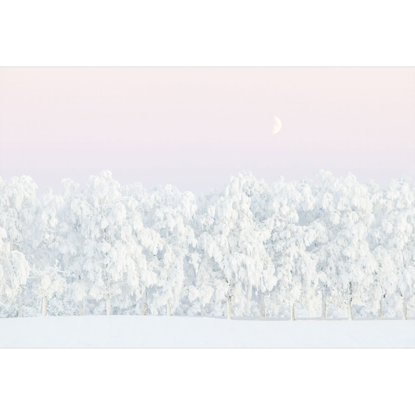Papier peint paysage d'hiver - forêt d'hiver enneigée avec lune - EMELIEmaria