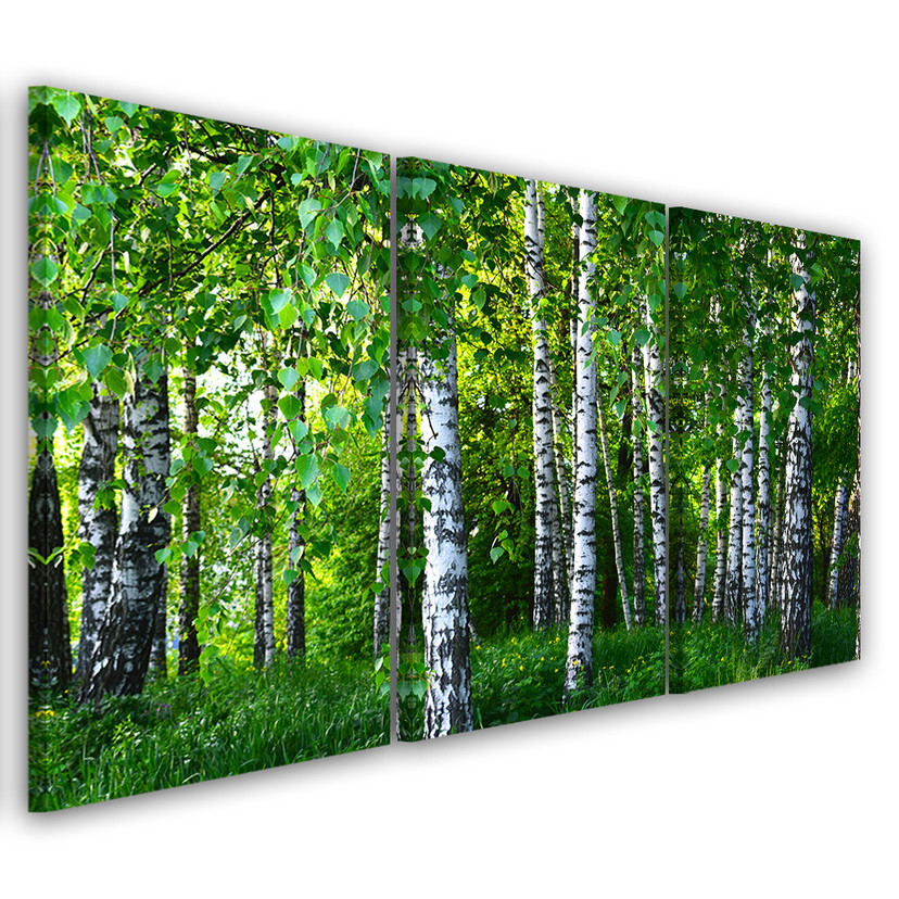 3 stykke lærredstryk, Birch Forest Green