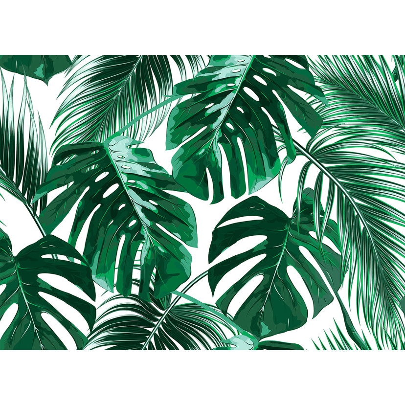 Livingwalls papier peint photo Designwalls Feuilles de palmier