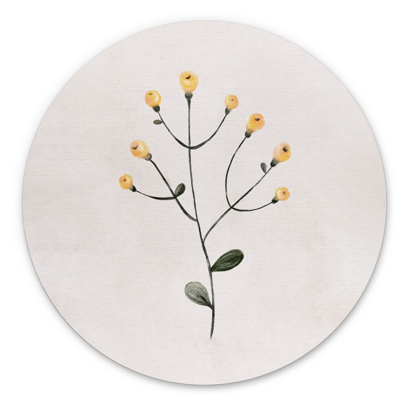 Tableaux Plante délicate avec fleurs jaunes - Goed Blauw - Alu-Dibond Rond