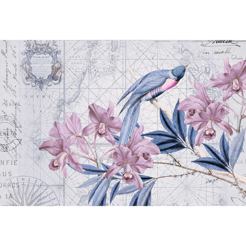 Livingwalls papier peint photo ARTist Bird Discovery avec fleur oiseaux et carte du monde bleu