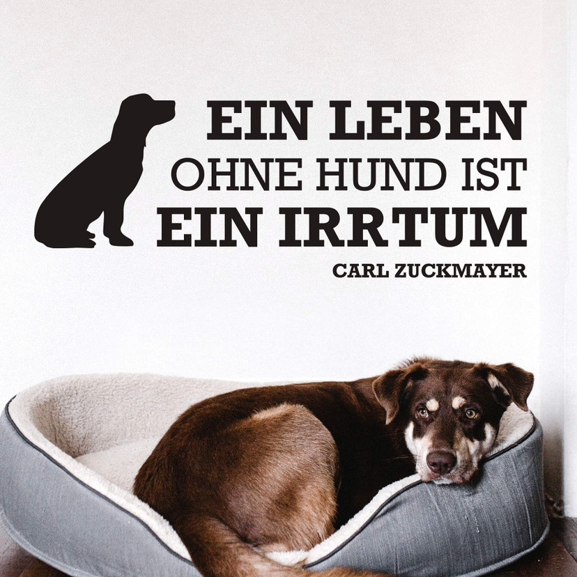 Wandtattoo Ein Leben ohne Hund...