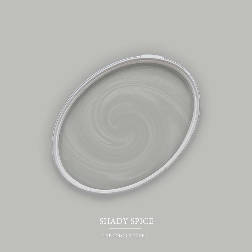 Pintura interior gris mate I Shady Spice | crear un ambiente elegante y moderno | THE COLOR KITCHEN