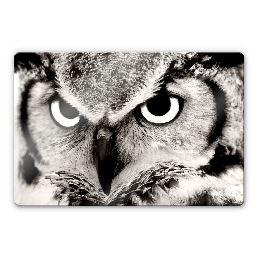 Tableau en verre - Hibou fier