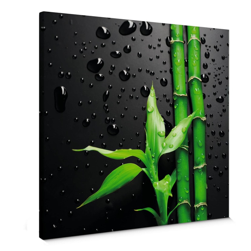Obraz na płótnie Bamboo Over Black - kwadrat