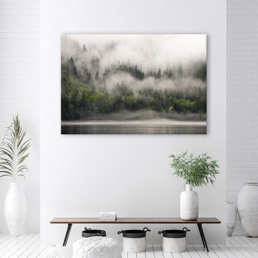 Canvasbillede, Skov i tåge