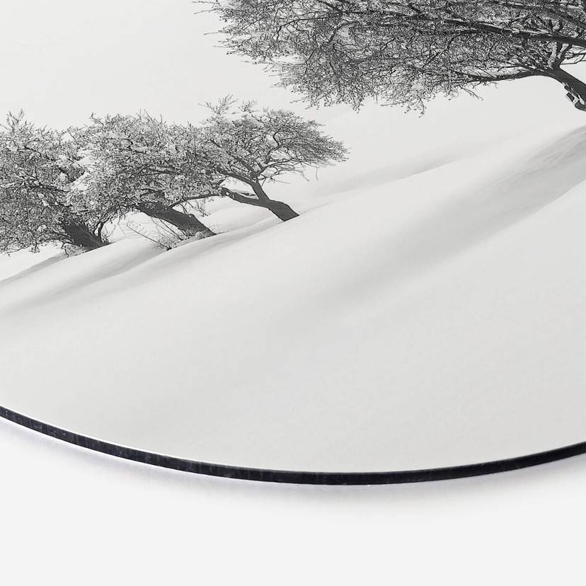 Wandcirkel Carrillo Lopez - White World
