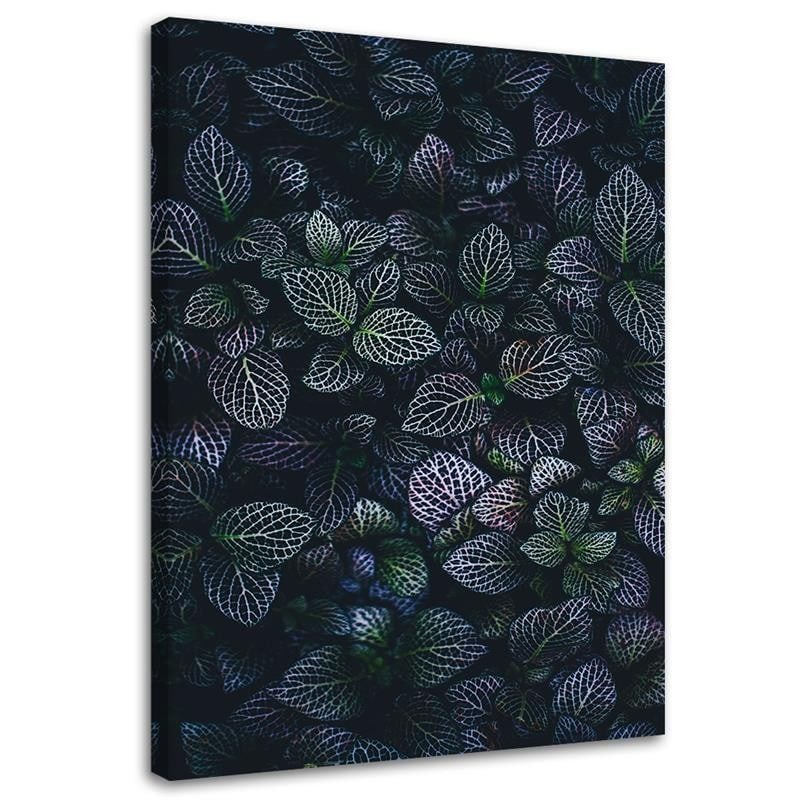 Canvasbillede, Blade af eksotiske planter