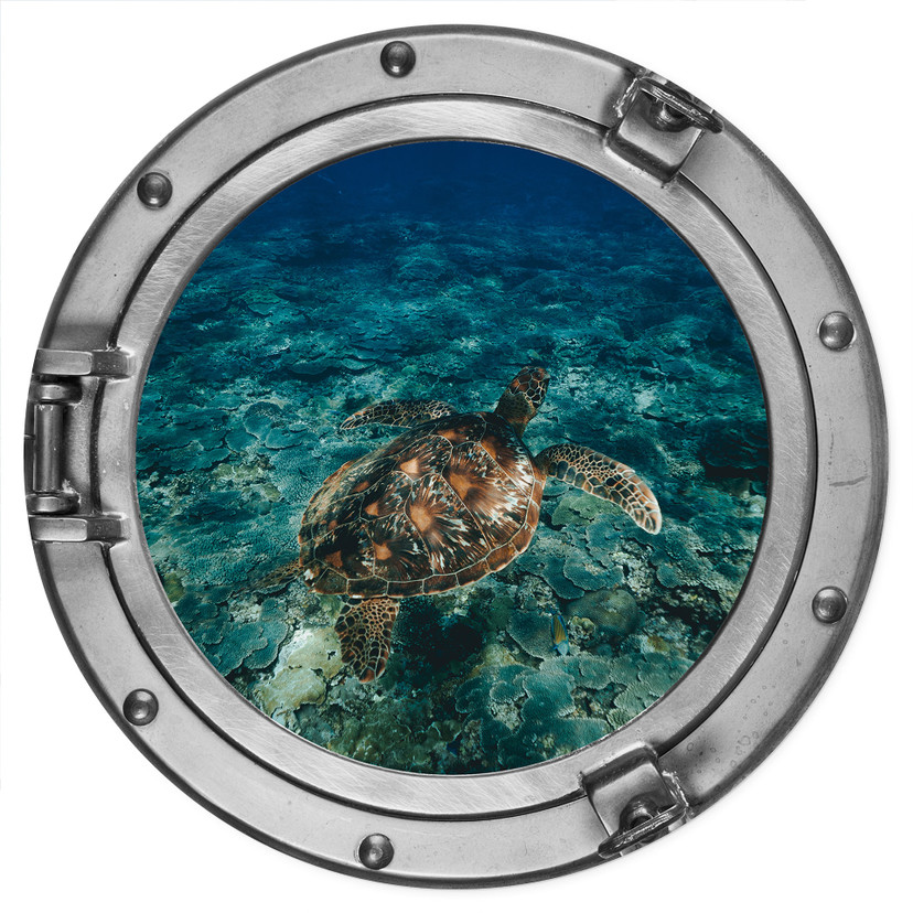 Vinilo decorativo óptica 3D - Tortuga desde arriba - Redondo