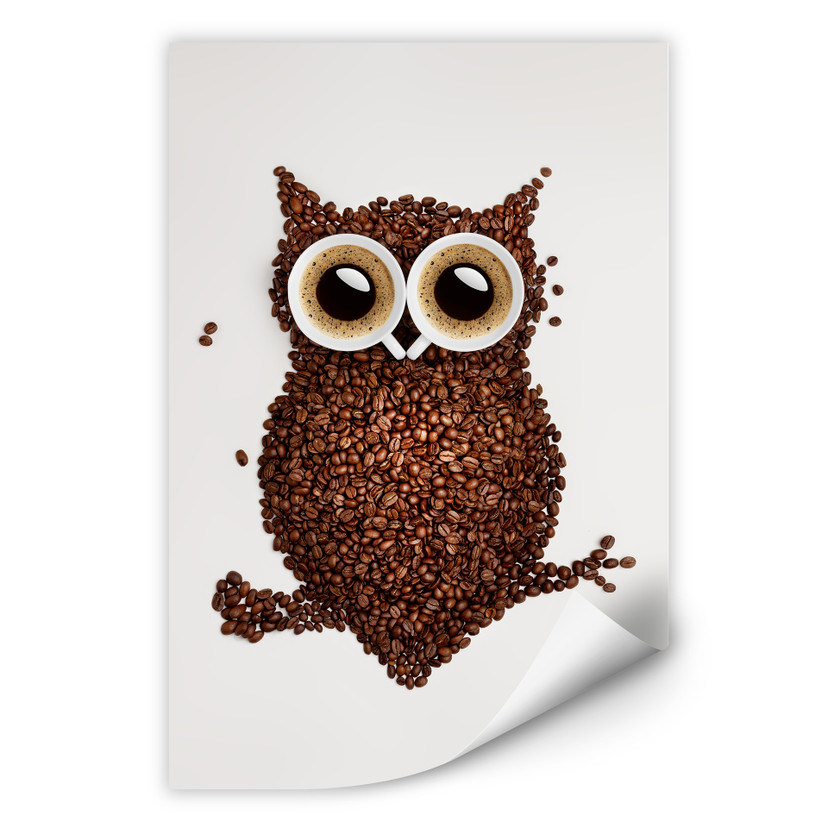 Zelfklevende Poster - Coffee Owl