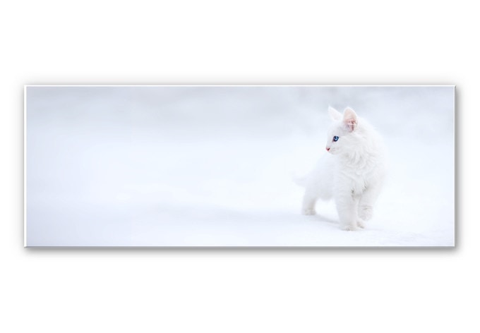 Tableau Forex - Prexus - Plus blanc que neige