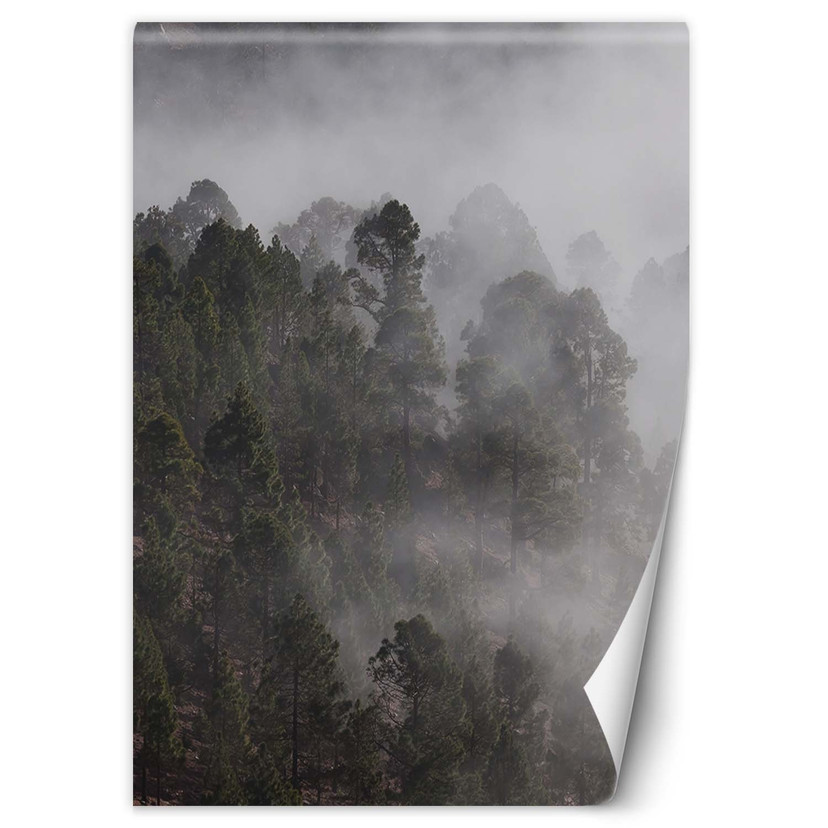 Fototapete, grüner Wald im Nebel