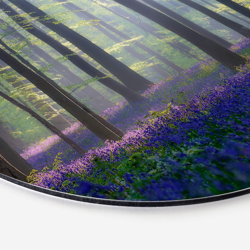 Alu-Dibond Popan - Glockenblumen - Rund