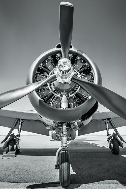 Poster The aeroplane - Propeller 61x91,5 cm