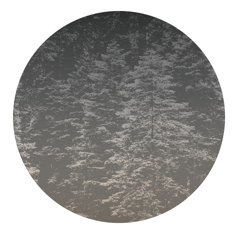 Tapeta cyfrowa Hazy Pines w formacie 1,4 m x 1,4 m Fashion for Walls 4 autorstwa Guido Maria Kretsch